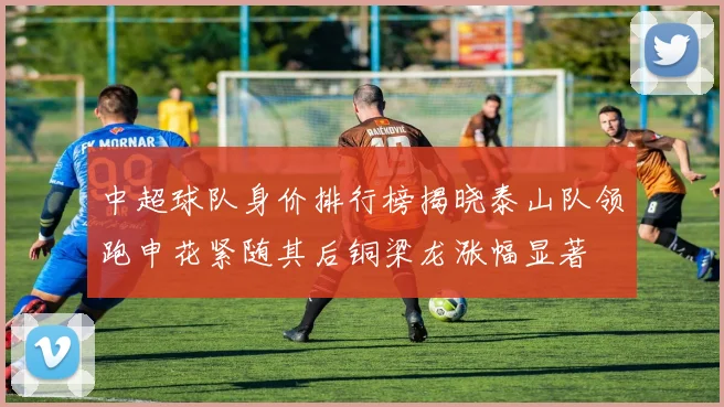 中超球队身价排行榜揭晓泰山队领跑申花紧随其后铜梁龙涨幅显著